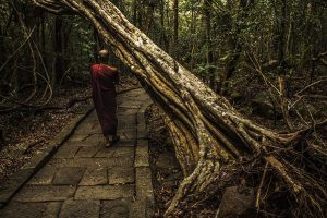 Ritigala Forest Monastery