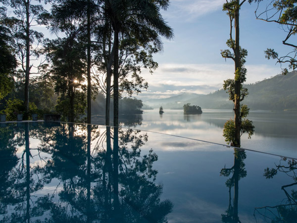 Ceylon Tea Trails