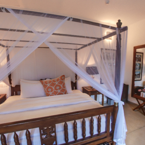 citronella_suite