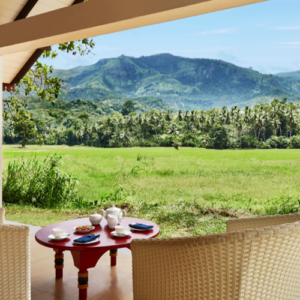 deluxe_dwelling_wel_vidana_paddy_field_view (2)