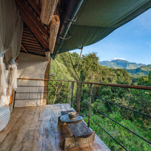 forest_pavilions (4)