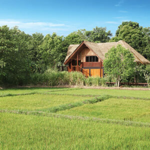 paddy_dwelling (4)