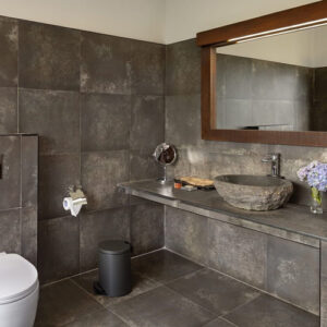 premium_deluxe (1)